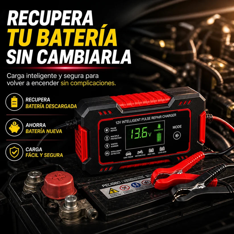 CARGADOR DE BATERIA VOLTX